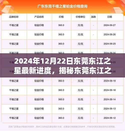 揭秘东莞东江之星，2024年最新建设进度揭秘