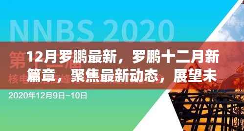 罗鹏十二月新篇章，聚焦最新动态，展望未来发展之路