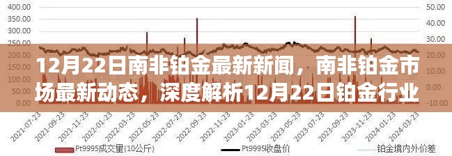 南非铂金市场动态解析，最新新闻与深度解读（12月22日）