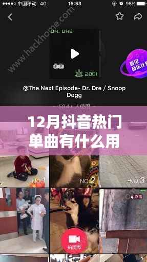 12月抖音热门单曲，流行魅力的价值与实用价值探索