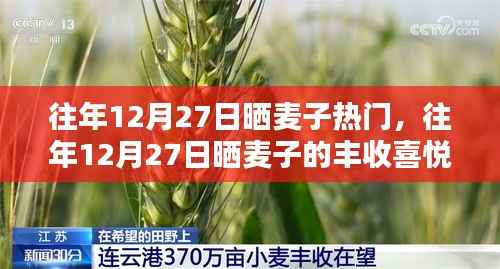 12月27日晒麦子，丰收的喜悦与传承的热烈习俗