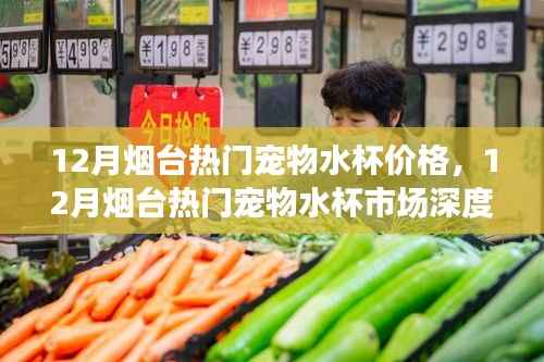 烟台宠物水杯市场深度解析，价格走势与选购指南（十二月版）