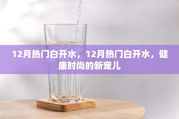 健康时尚新宠儿，12月热门白开水