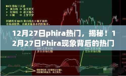 揭秘，Phira现象背后的热门秘密（12月27日）