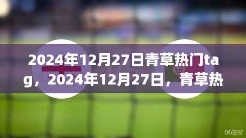 2024年12月27日青草热门标签引领潮流新纪元