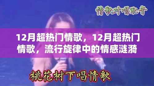 12月超热门情歌，流行旋律中的情感涟漪