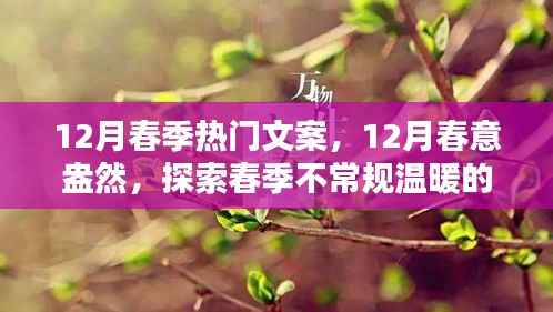 揭秘不常规温暖，12月春意盎然的春季文案探索