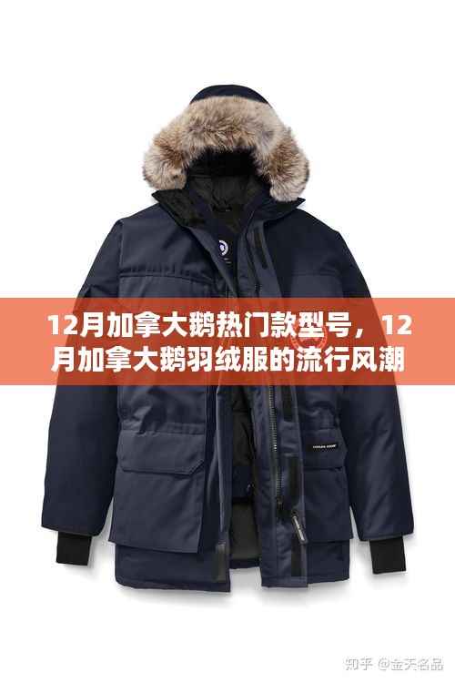 探寻加拿大鹅羽绒服热门款魅力，12月流行风潮来袭