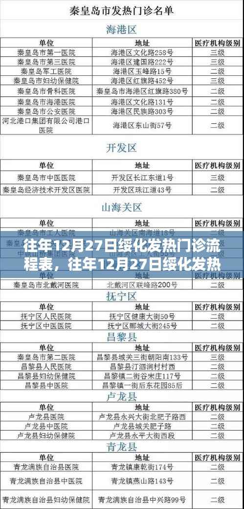 往年12月27日绥化发热门诊实录与流程详解，运行实录与流程表解析