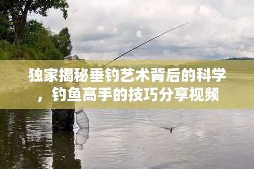 独家揭秘垂钓艺术背后的科学，钓鱼高手的技巧分享视频