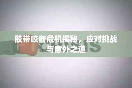 百鸟归巢 第4页