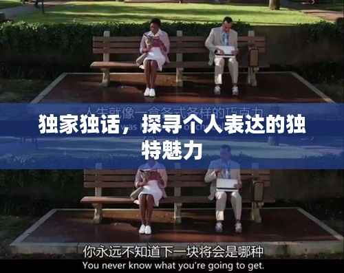 独家独话，探寻个人表达的独特魅力