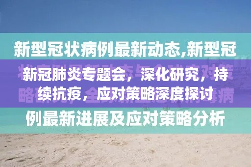 新冠肺炎专题会，深化研究，持续抗疫，应对策略深度探讨