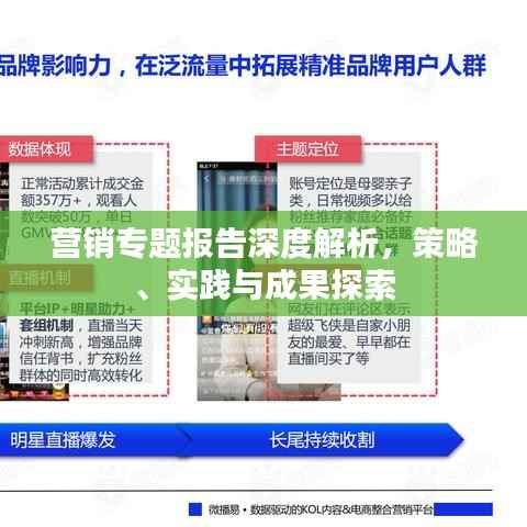 营销专题报告深度解析，策略、实践与成果探索