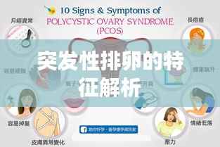 突发性排卵的特征解析