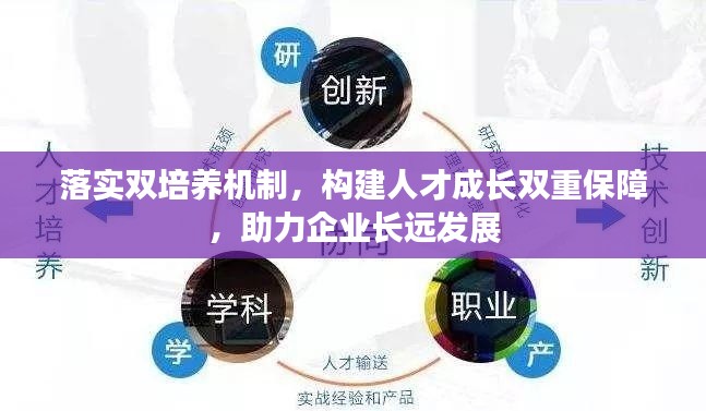 落实双培养机制，构建人才成长双重保障，助力企业长远发展