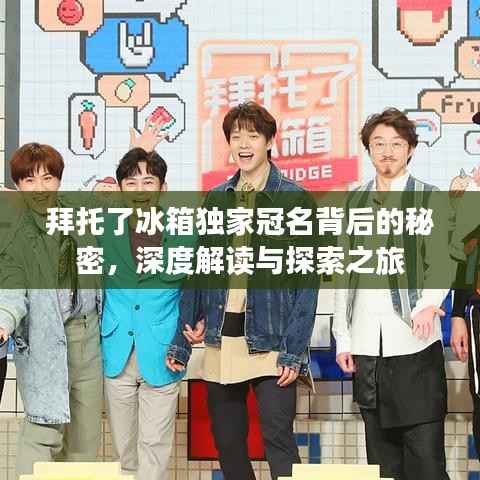 拜托了冰箱独家冠名背后的秘密，深度解读与探索之旅