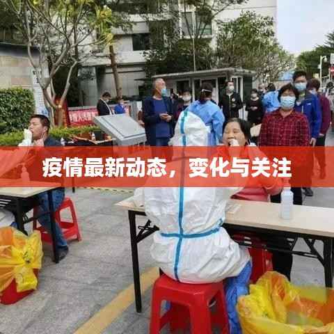 疫情最新动态，变化与关注