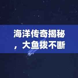 海洋传奇揭秘，大鱼拨不断的神秘之旅