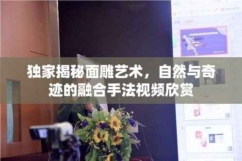 独家揭秘面雕艺术，自然与奇迹的融合手法视频欣赏