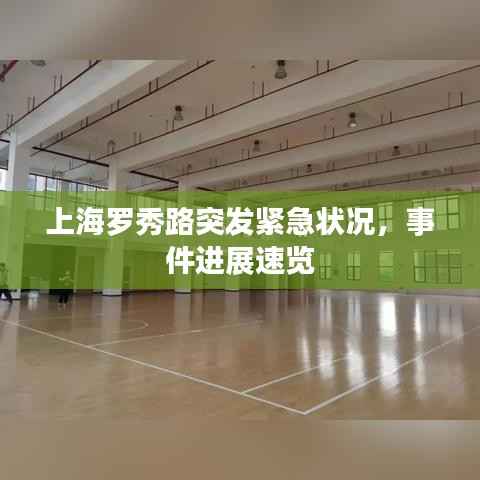 上海罗秀路突发紧急状况，事件进展速览
