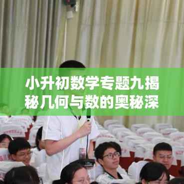 小升初数学专题九揭秘几何与数的奥秘深度解析