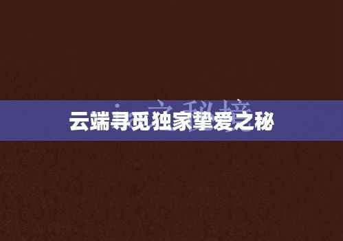 云端寻觅独家挚爱之秘
