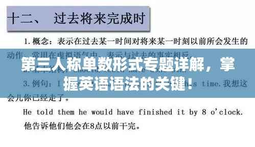 第三人称单数形式专题详解，掌握英语语法的关键！
