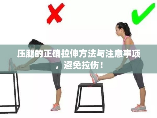 压腿的正确拉伸方法与注意事项，避免拉伤！