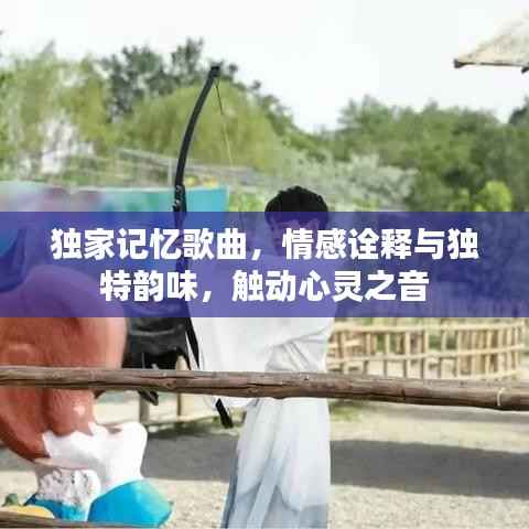 独家记忆歌曲，情感诠释与独特韵味，触动心灵之音