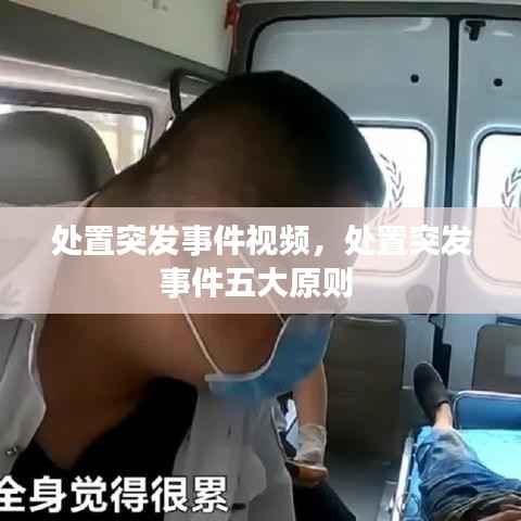 束手就擒 第6页