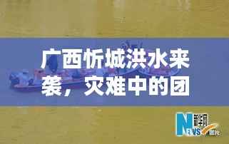 广西忻城洪水来袭，灾难中的团结与坚韧力量