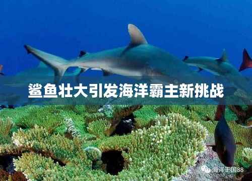 鲨鱼壮大引发海洋霸主新挑战