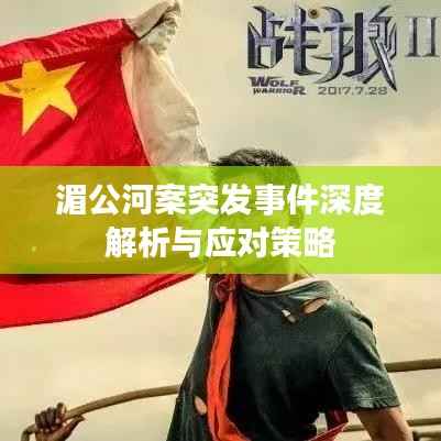 湄公河案突发事件深度解析与应对策略