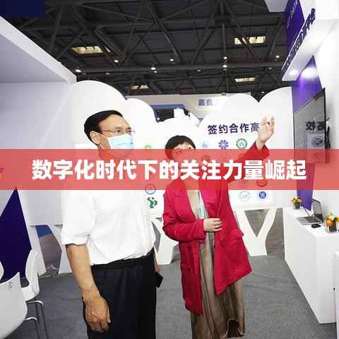 数字化时代下的关注力量崛起