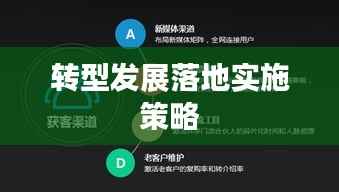 转型发展落地实施策略