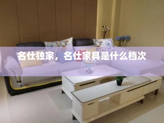 名仕独家，名仕家具是什么档次 