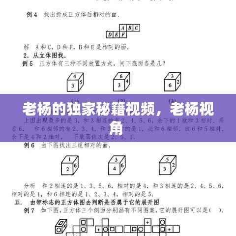 老杨的独家秘籍视频，老杨视角 