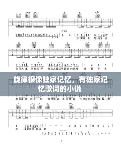 旋律很像独家记忆，有独家记忆歌词的小说 