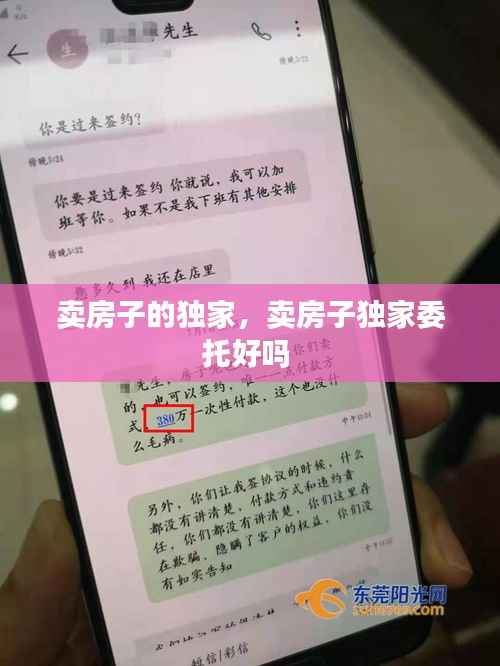 卖房子的独家,卖房子独家委托好吗