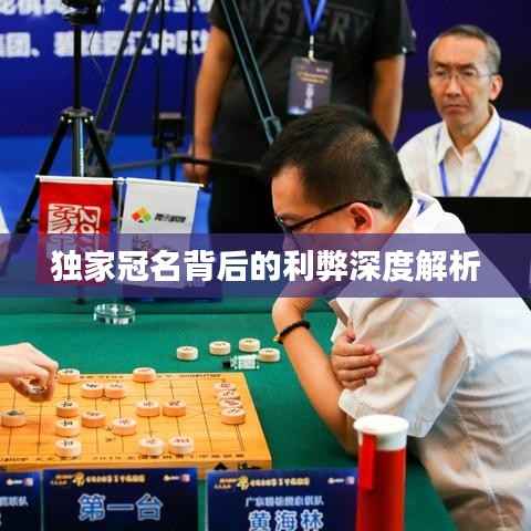 独家冠名背后的利弊深度解析