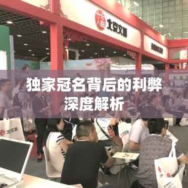 独家冠名背后的利弊深度解析