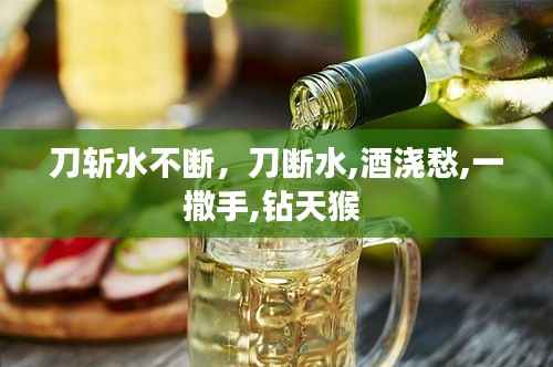 刀斩水不断，刀断水,酒浇愁,一撒手,钻天猴 