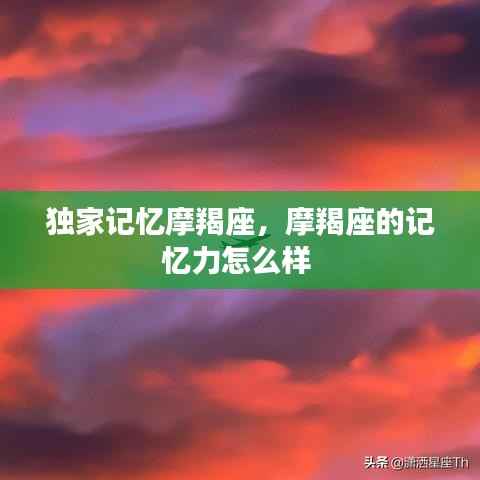 独家记忆摩羯座，摩羯座的记忆力怎么样 