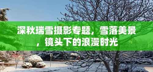 草草了事 第5页