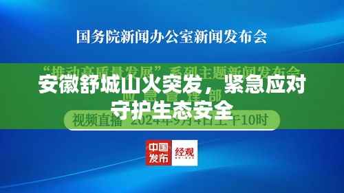 安徽舒城山火突发，紧急应对守护生态安全