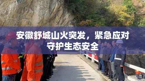 安徽舒城山火突发,紧急应对守护生态安全