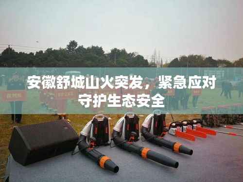 安徽舒城山火突发,紧急应对守护生态安全