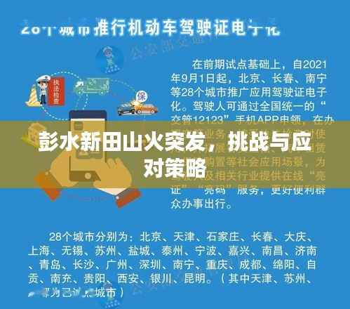 彭水新田山火突发,挑战与应对策略