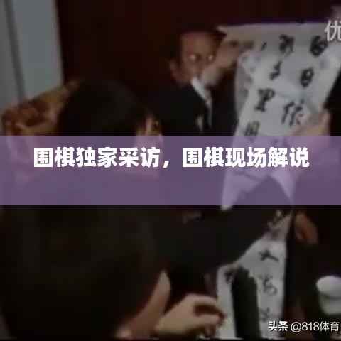 围棋独家采访，围棋现场解说 